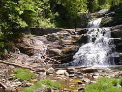 Image file: photo-03.jpg