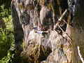 Image file: _1/photo-05.jpg