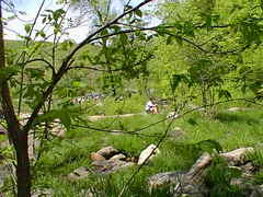 Image file: photo-23.jpg