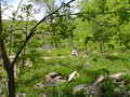 Image file: _2/photo-23.jpg