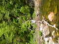 Image file: _2/photo-24.jpg