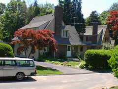 Image file: willow-dr-02.jpg