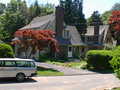 Image file: willow-dr-02.jpg