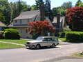 Image file: willow-dr-03.jpg