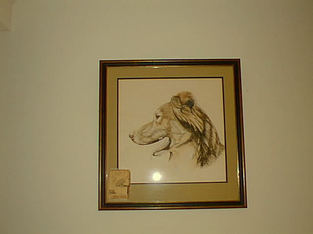 No description provided for: /2000/1121-critters/critters-08.html