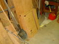 Image file: sci-02.jpg