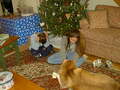 Image file: photo03.jpg