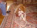Image file: photo04.jpg