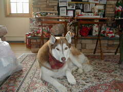 Image file: xmas2000-01.jpg