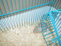 Image file: _1/xmas2000-03.jpg