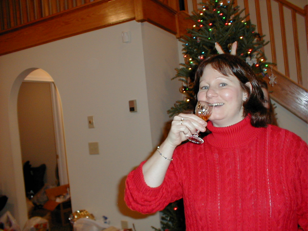 No description provided for: /2000/1227-xmas/_5/xmas2000-86.html