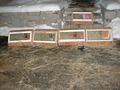 Image file: sci-06.jpg