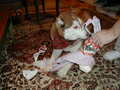 Image file: photo04.jpg