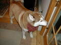 Image file: photo08.jpg