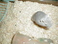 Image file: photo16.jpg