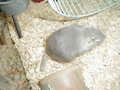 Image file: photo17.jpg