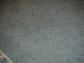 Image file: _1/photo02.jpg
