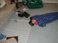 Image file: _2/photo31.jpg
