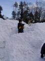 Image file: snow-shots-13.jpg