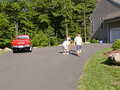 Image file: _2/bday-29.jpg