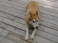 Image file: _1/photo13.jpg