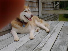Image file: photo19.jpg