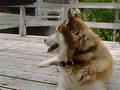 Image file: _2/photo15.jpg