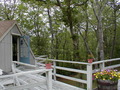 Image file: _1/cape-07.jpg
