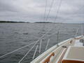 Image file: _2/sailing-06.jpg