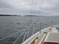 Image file: _2/sipson-20010719.jpg