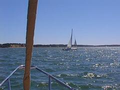 Image file: neighbor-bow-20010721.jpg