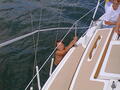 Image file: _1/photo01.jpg