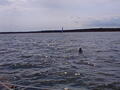 Image file: _1/photo11.jpg