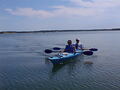 Image file: _1/photo10.jpg
