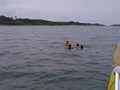 Image file: _2/photo19.jpg