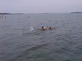 Image file: _2/photo20.jpg