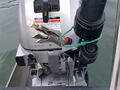 Image file: _2/photo25.jpg