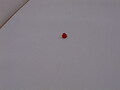 Image file: _2/photo26.jpg
