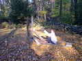 Image file: photo02.jpg