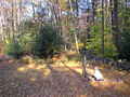 Image file: photo04.jpg