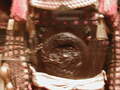 Image file: _1/photo15.jpg