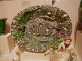 Image file: _2/photo26.jpg