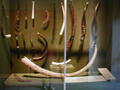 Image file: _3/photo45.jpg