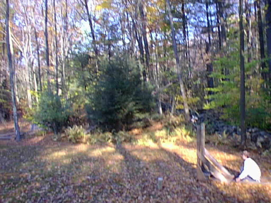 No description provided for: /2001/10-12/1021-baseball-projectile/photo03.html