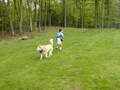 Image file: _2/photo34.jpg