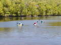 Image file: _1/photo12.jpg