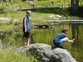 Image file: _1/photo21.jpg