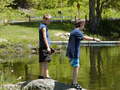 Image file: _1/photo22.jpg