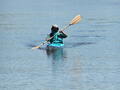 Image file: _2/photo26.jpg