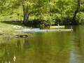 Image file: _2/photo40.jpg